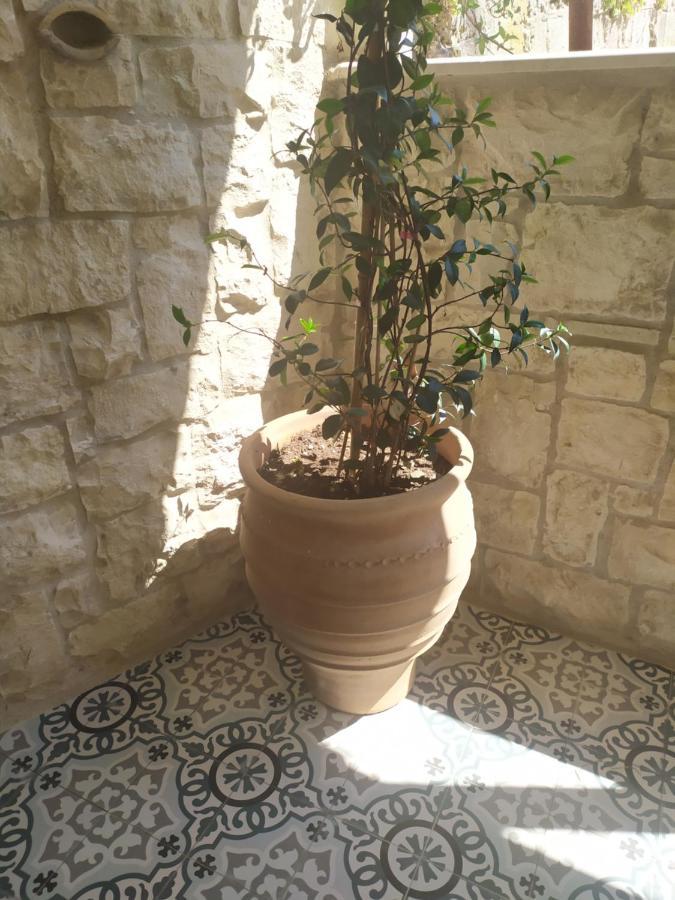 Villa Chrisanthi Πάργα Εξωτερικό φωτογραφία
